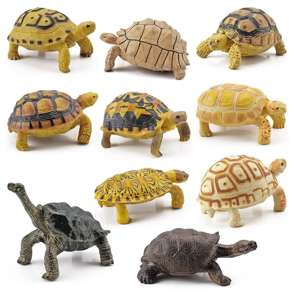 Leatherback Tortoise Turtle Action Figures Simulation Hand Painted Sea Turtle Model PVC Material Realistic
Leatherback Tortoise Turtle Action Figures Simulation Hand Painted Sea Turtle Model PVC Material Realistic