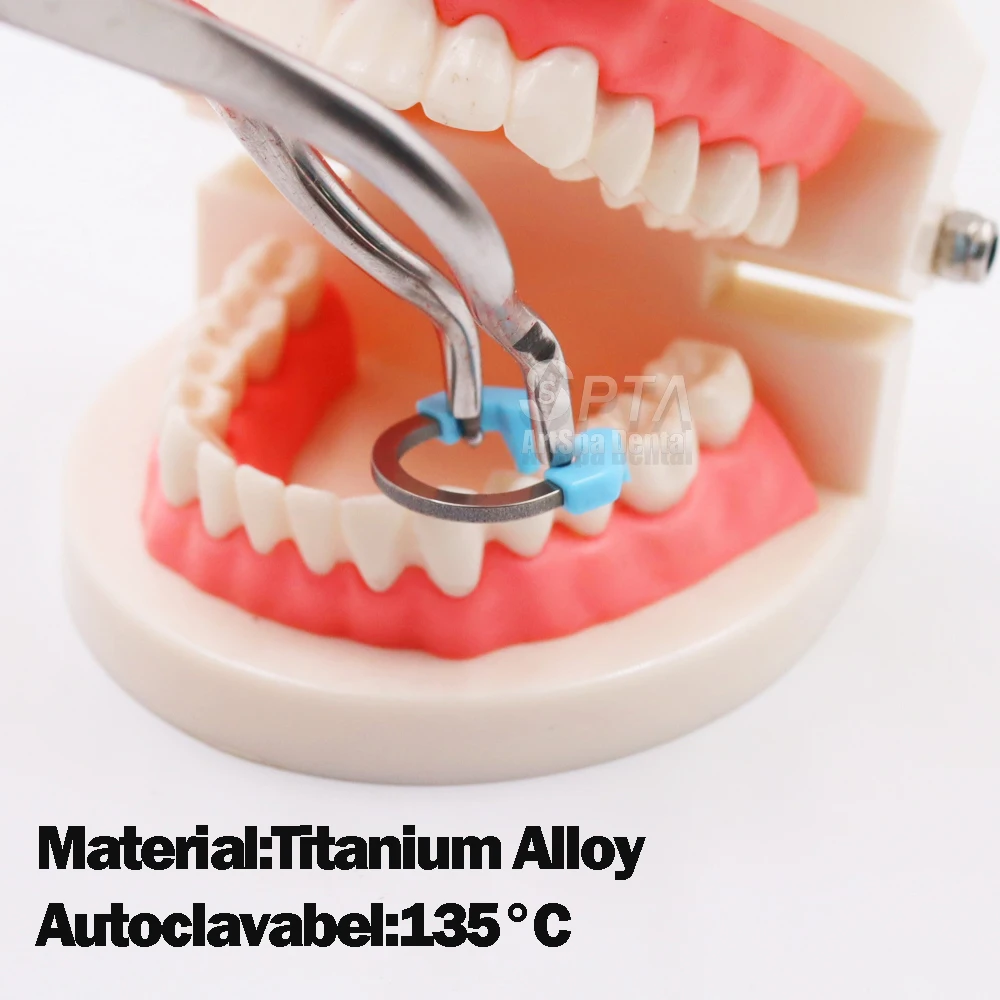 Nickel Titanium Clamping High Quality Ring Dental Sectional Matrix System Matrices Clip Matrix Bands Dentistry Instrument Tool
Nickel Titanium Clamping High Quality Ring Dental Sectional Matrix System Matrices Clip Matrix Bands Dentistry Instrument Tool