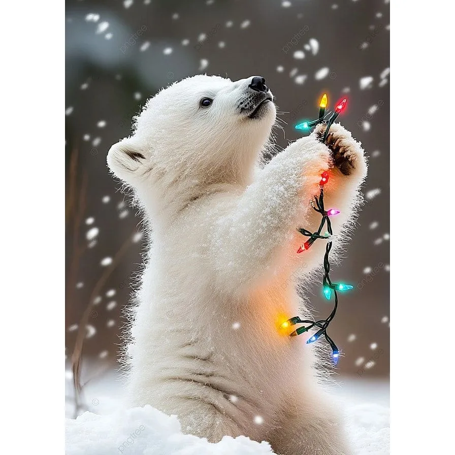 DIY Diamond Painting Kit Full Square Adorable Polar Bear Cub Plays with Colorful Christmas Lights Nursery & Kids Room Decor
DIY Diamond Painting Kit Full Square Adorable Polar Bear Cub Plays with Colorful Christmas Lights Nursery & Kids Room Decor