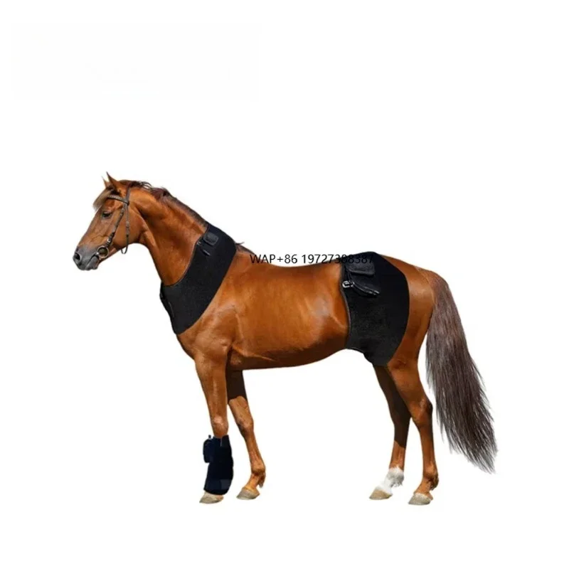 Инфракрасное светодиодное одеяло для лошадей 660нм 850нм для снятия боли, ветеринарное оборудование для ухода за животными, конная терапия
Инфракрасное светодиодное одеяло для лошадей 660нм 850нм для снятия боли, ветеринарное оборудование для ухода за животными, конная терапия