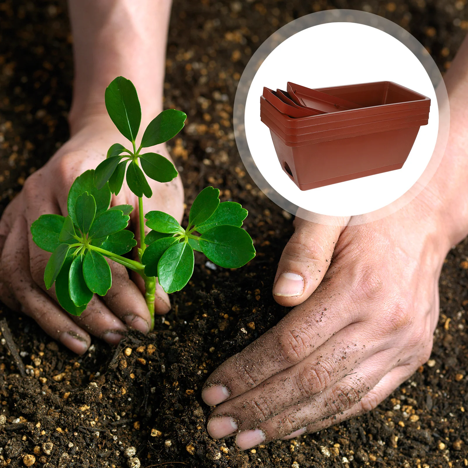 4Pcs Plastic Bonsai Flowerpots Rectangular Window Box Planters Durable Planter Boxes for Indoor Outdoor Plants Gardening 
4Pcs Plastic Bonsai Flowerpots Rectangular Window Box Planters Durable Planter Boxes for Indoor Outdoor Plants Gardening