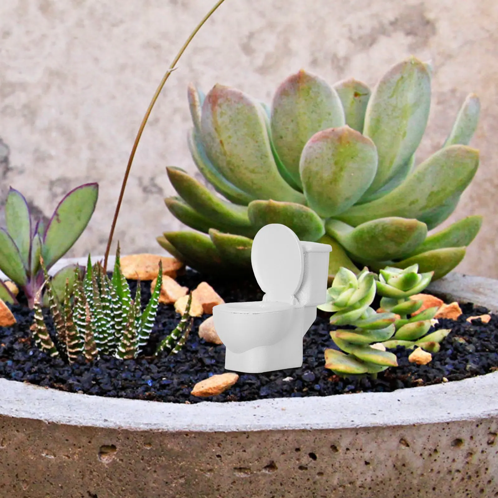 Miniature Resin Commode Ornament Creative Closestool Shape Decoration for Mini House Garden Landscape Adornment Resin Crafts
Miniature Resin Commode Ornament Creative Closestool Shape Decoration for Mini House Garden Landscape Adornment Resin Crafts