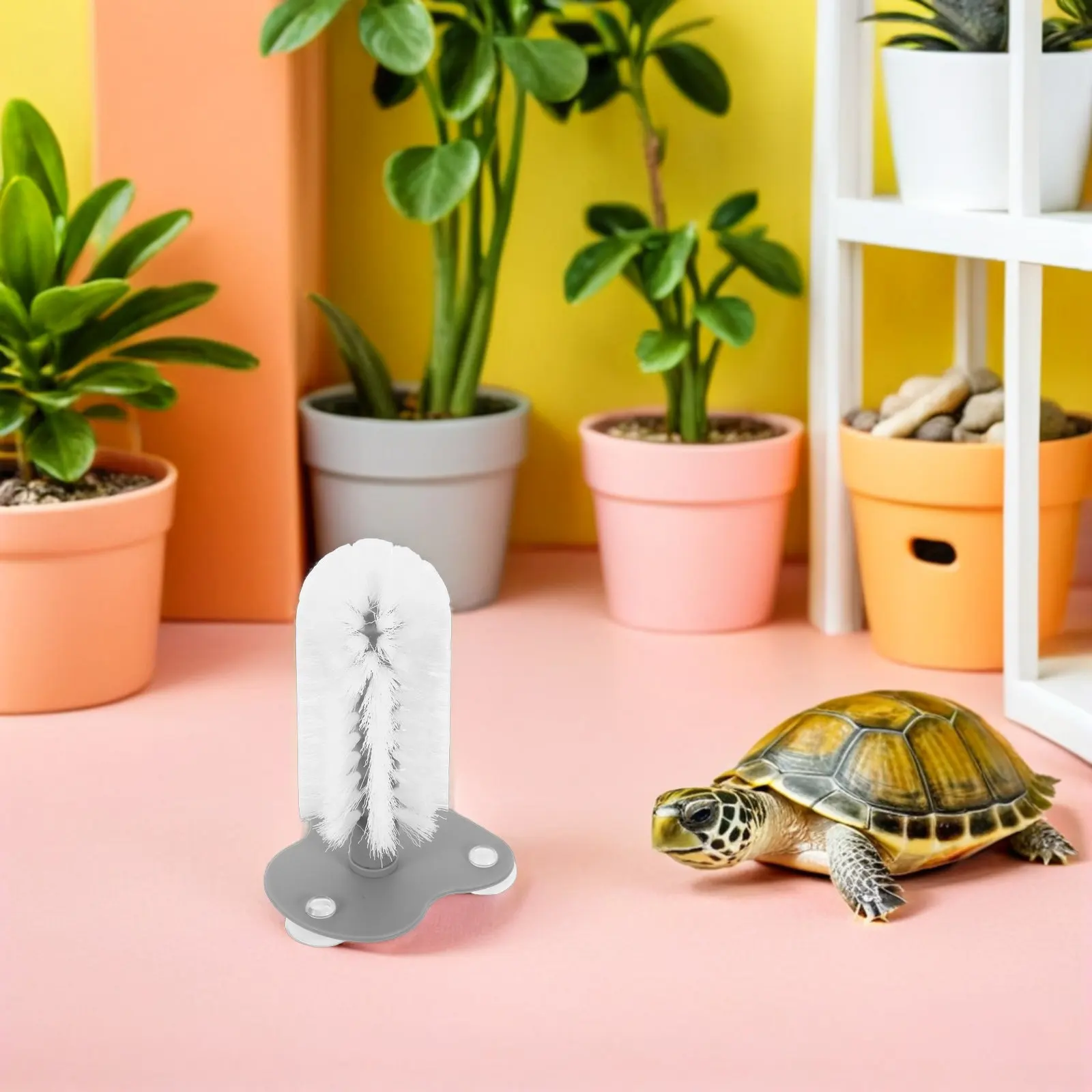 2 шт. щетки-присоски для черепах с мягкой щетиной, очистители для панциря черепах, скребки для аквариумов, аксессуары для рептилий
2 шт. щетки-присоски для черепах с мягкой щетиной, очистители для панциря черепах, скребки для аквариумов, аксессуары для рептилий