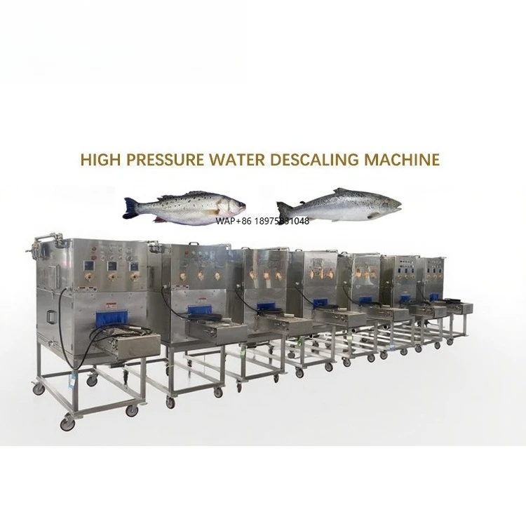 Efficient fish processing unit with automatic sorting and packaging
Efficient fish processing unit with automatic sorting and packaging