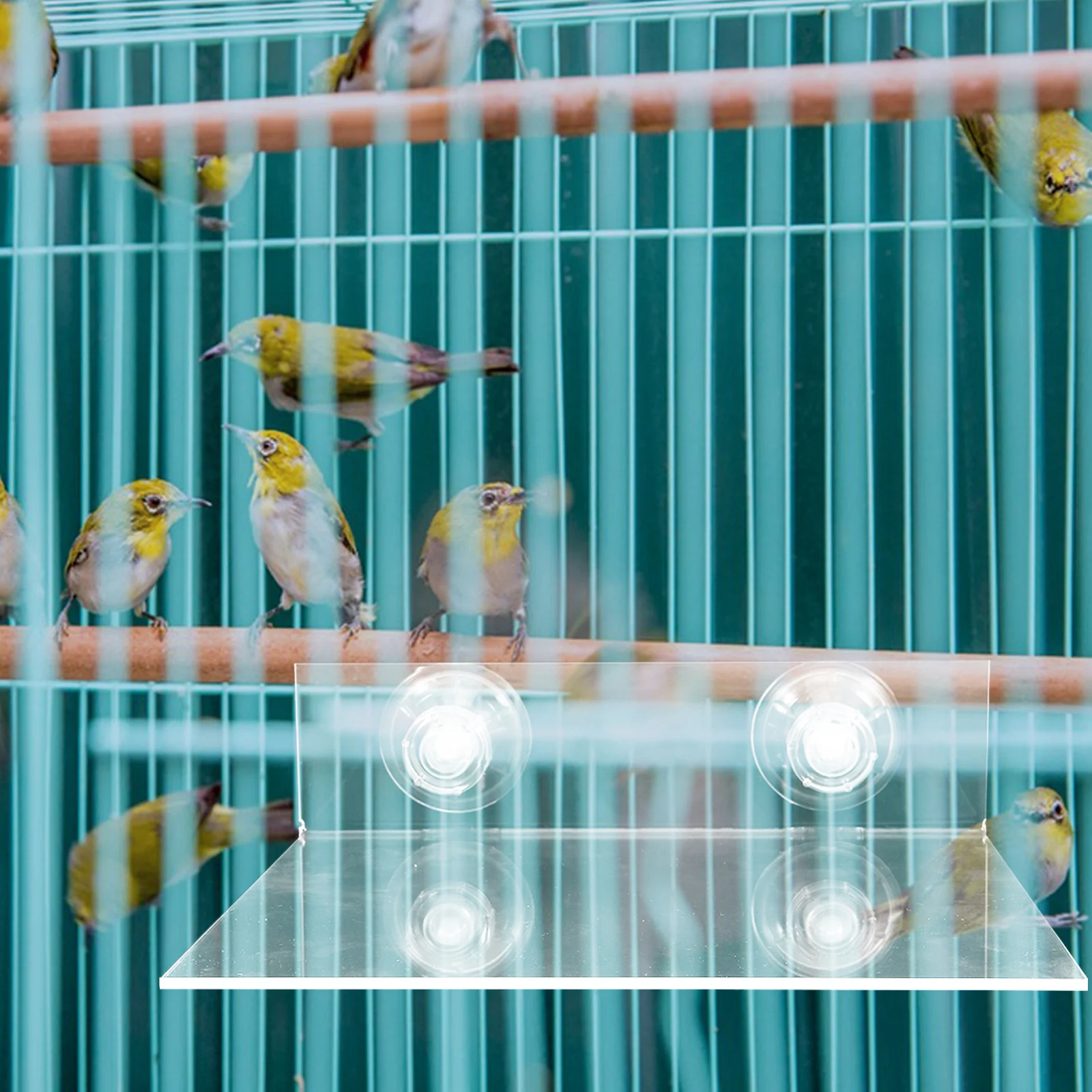 Parrot Platform Acrylic Bird Perch With Suction Cup For Small Birds Cage Accessories Window Shower Wall Use Parrot Stand
Parrot Platform Acrylic Bird Perch With Suction Cup For Small Birds Cage Accessories Window Shower Wall Use Parrot Stand