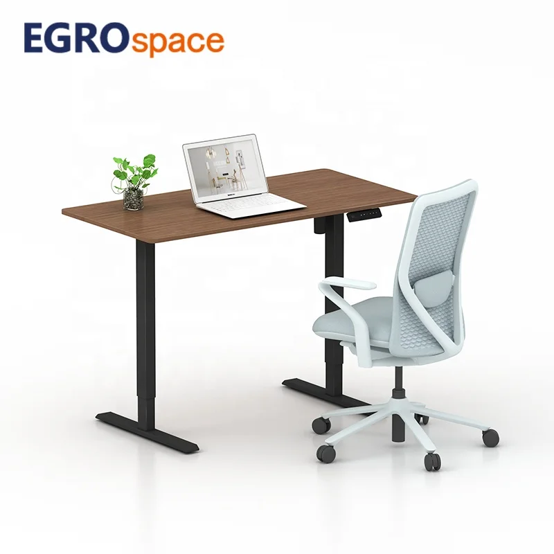 Height Adjuster Adjustable Electric Office Lift up Single Motor Adjust Sit Ergonomics Electrically Stand Standing Desk
Height Adjuster Adjustable Electric Office Lift up Single Motor Adjust Sit Ergonomics Electrically Stand Standing Desk