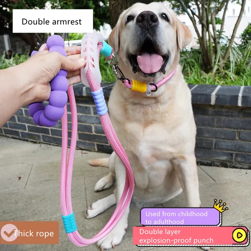 Versatile Pet Traction Leashes with A Comfortable Foam Handle Puppy Goes Out ForPet Walking Pet Supplies
Versatile Pet Traction Leashes with A Comfortable Foam Handle Puppy Goes Out ForPet Walking Pet Supplies