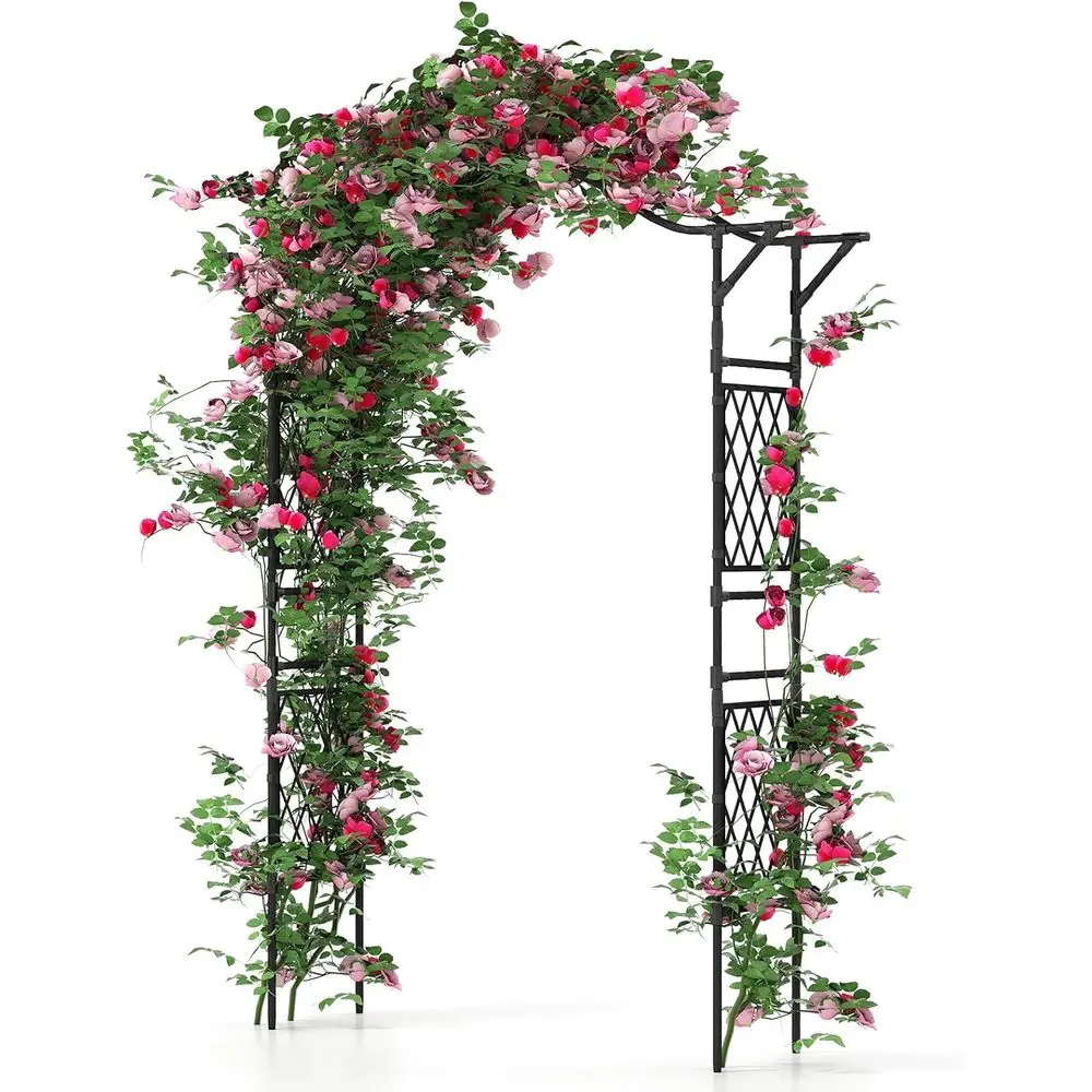 Металлическая садовая арка-пергола, 67Ш x 83В, из гофрированной стали с ПЭ-покрытием и решеткой, декоративная арка для свадеб и мероприятий на открытом воздухе
Металлическая садовая арка-пергола, 67Ш x 83В, из гофрированной стали с ПЭ-покрытием и решеткой, декоративная арка для свадеб и мероприятий на открытом воздухе