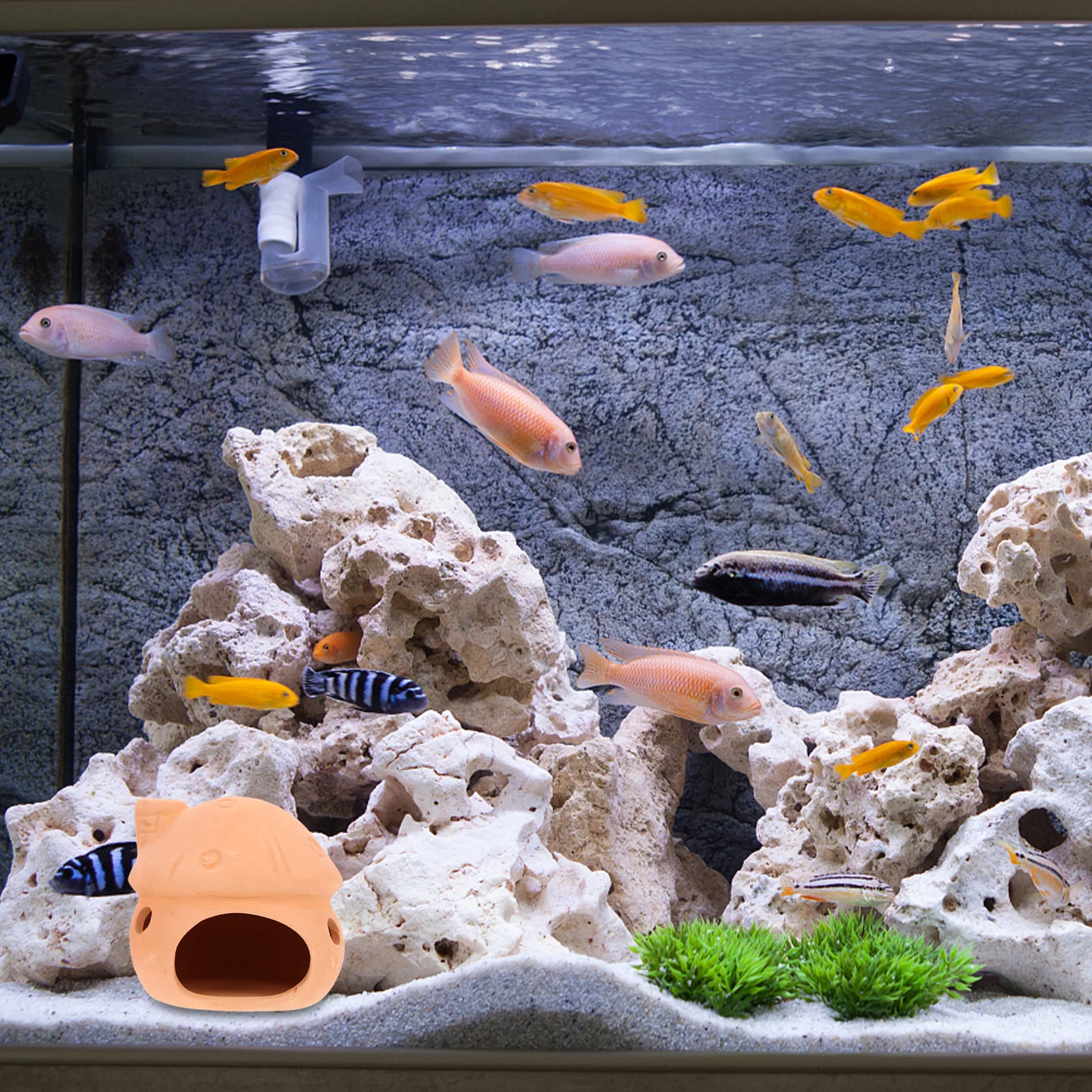 2Pcs Fish Tank Hiding Caves Ceramic Fish Breeding Houses Shrimp Shelter Aquarium Decorations Underwater Hideouts
2Pcs Fish Tank Hiding Caves Ceramic Fish Breeding Houses Shrimp Shelter Aquarium Decorations Underwater Hideouts