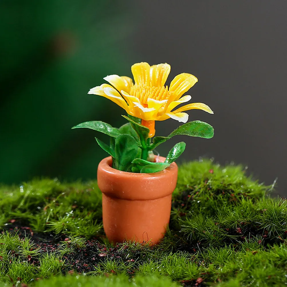 5Pcs Miniature Bonsai Plant Fake Potted Plants Mini House Decor Photo Props Ornament Mini Desktop Landscape
5Pcs Miniature Bonsai Plant Fake Potted Plants Mini House Decor Photo Props Ornament Mini Desktop Landscape