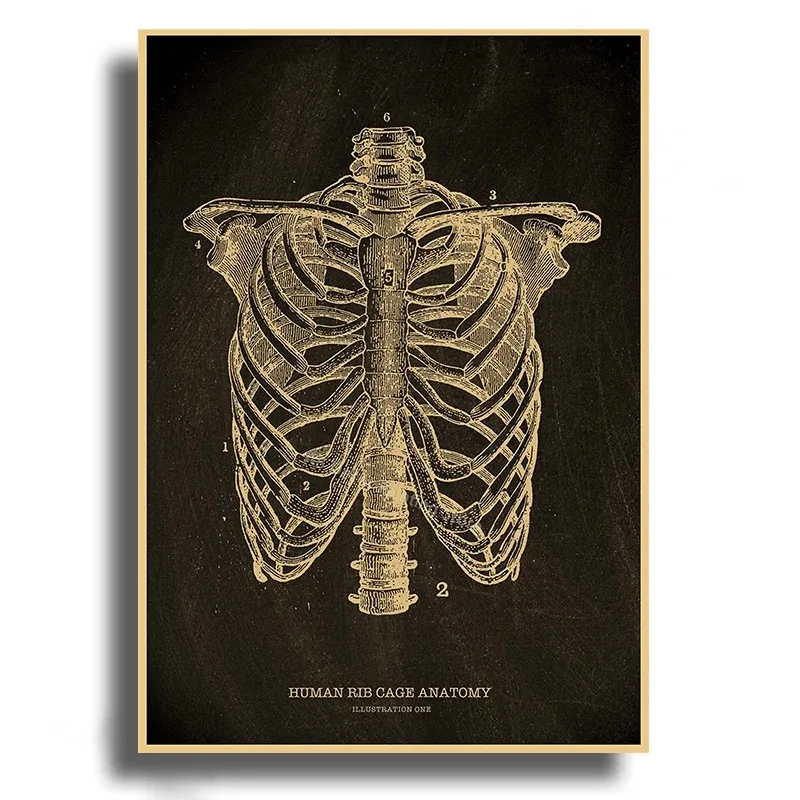 1 Box of 500/1000/1200/2000PCS Puzzles for Adults Vintage Anatomical Skeleton Jigsaw Puzzles Home Decoration Gift Frameless
1 Box of 500/1000/1200/2000PCS Puzzles for Adults Vintage Anatomical Skeleton Jigsaw Puzzles Home Decoration Gift Frameless