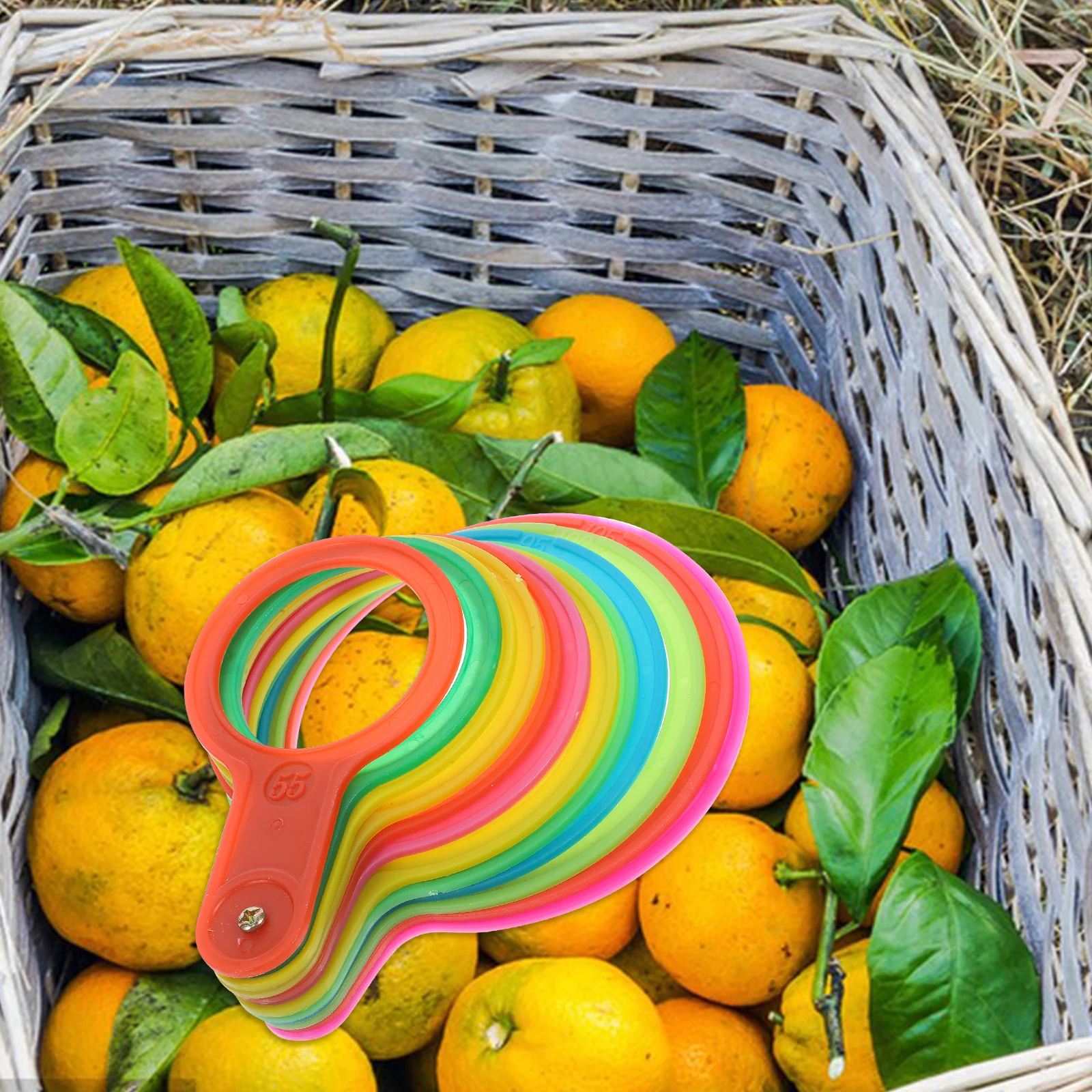 Fruit Diameter Measuring Device Measure Fruits Tool Measurement Farm Tape Citrus Ruler Circle Avocado
Fruit Diameter Measuring Device Measure Fruits Tool Measurement Farm Tape Citrus Ruler Circle Avocado