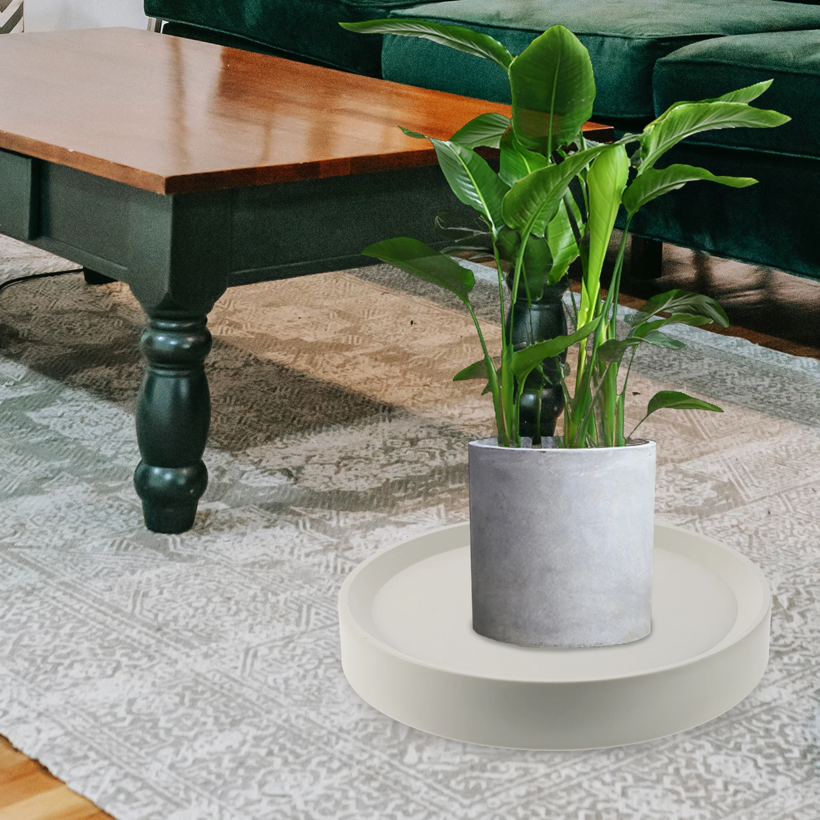 Plastic Plant Tray Rolling Stand Round Flowerpot Dolly Heavy Duty Planter Tray for Indoor Outdoor Garden Plant Holder
Plastic Plant Tray Rolling Stand Round Flowerpot Dolly Heavy Duty Planter Tray for Indoor Outdoor Garden Plant Holder