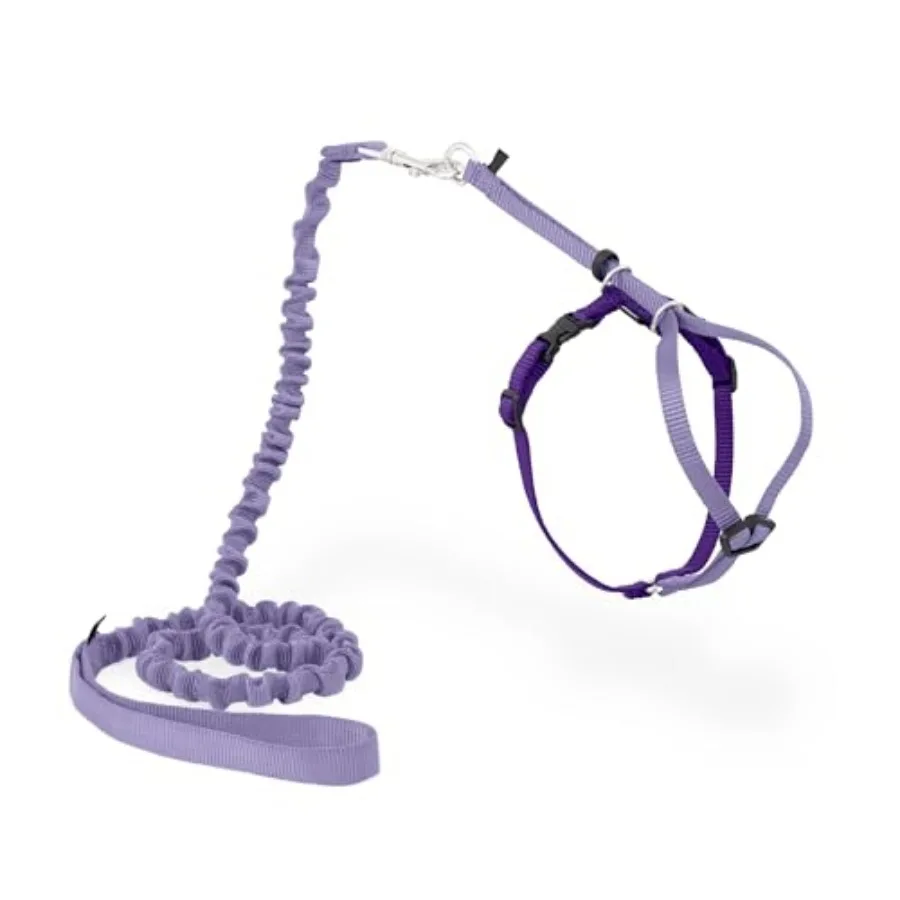 Come with Me Kitty Harness and Bungee Leash Adjustable, Lightweight Harness for Cats Medium
Come with Me Kitty Harness and Bungee Leash Adjustable, Lightweight Harness for Cats Medium