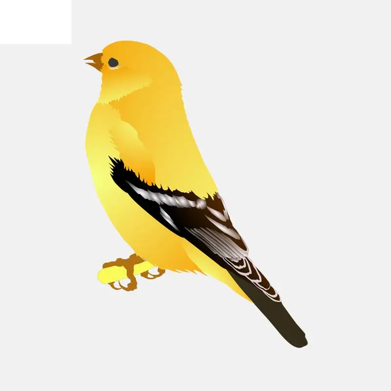 RuleMyLife 9.4CM*12.8CM High Quality Cute Yellow Ostrich PVC Car Sticker 11-01499
RuleMyLife 9.4CM*12.8CM High Quality Cute Yellow Ostrich PVC Car Sticker 11-01499