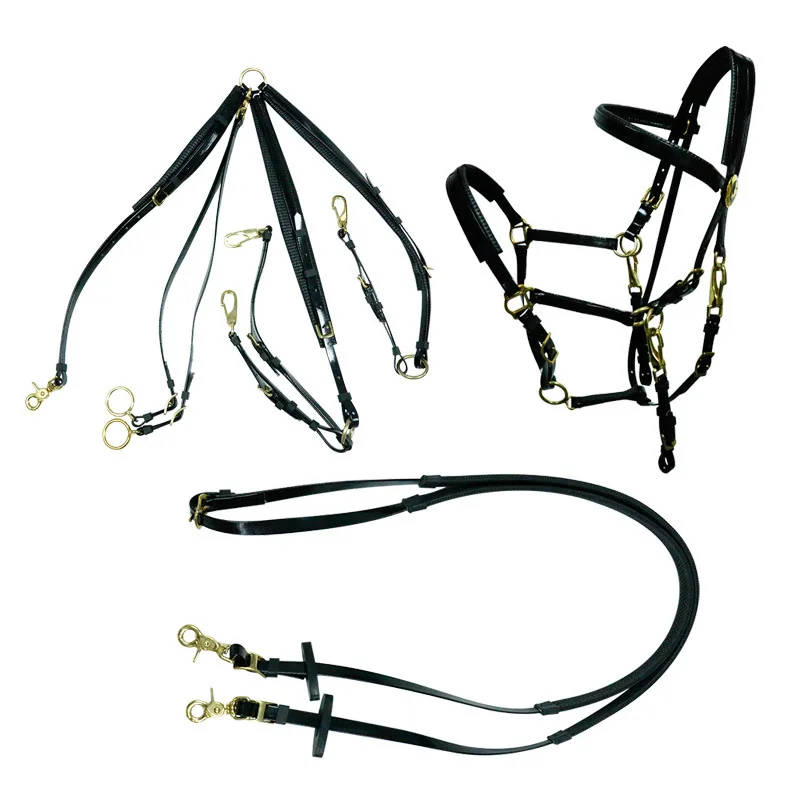 Shiny Glossy Full Set Endurance Bridle TPU Coated Nylon Leather Waterproof Model Red Western Style Fancy Halter Reins Included 2
Shiny Glossy Full Set Endurance Bridle TPU Coated Nylon Leather Waterproof Model Red Western Style Fancy Halter Reins Included 2