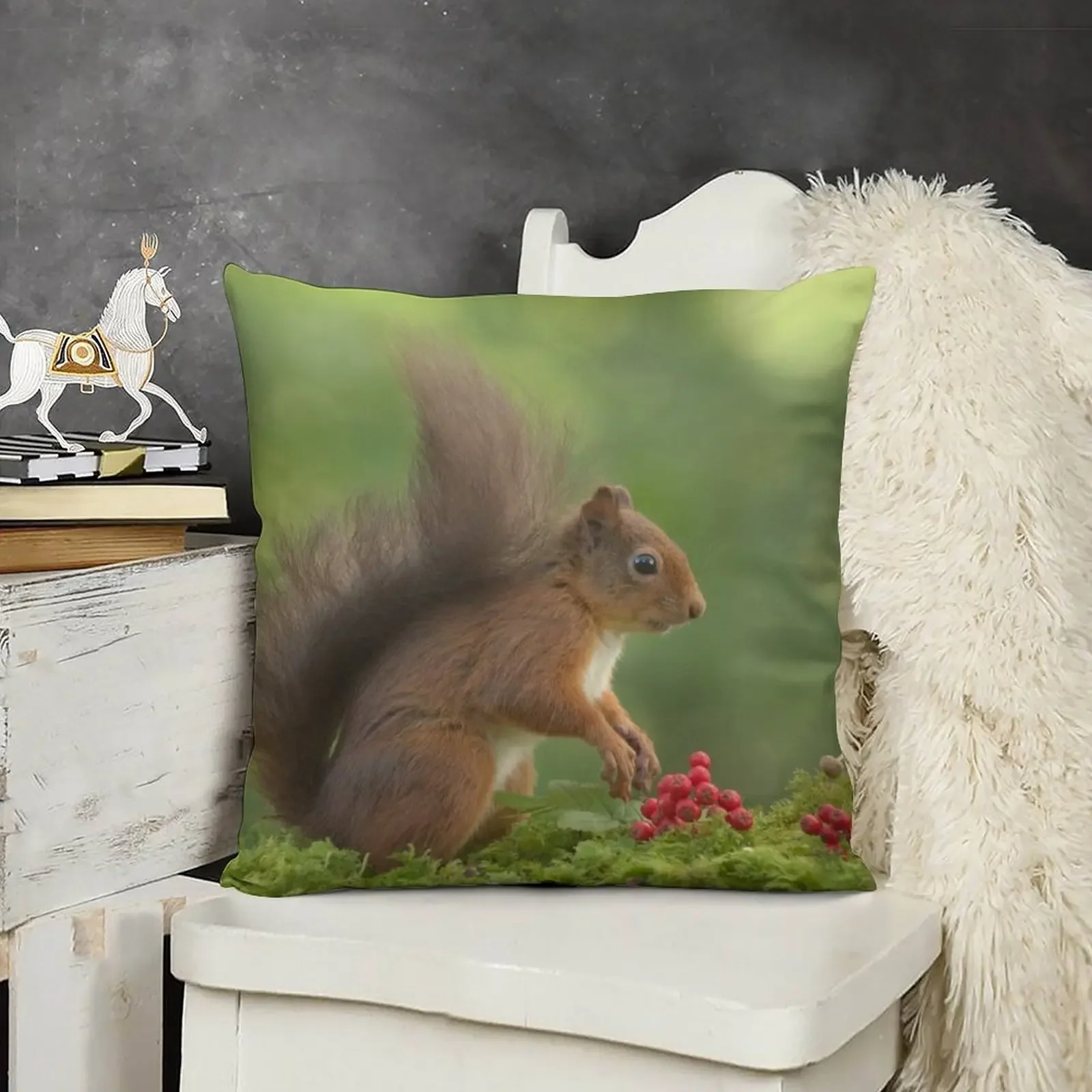 Red Squirrel Throw Pillow Bed pillowcases pillow cover luxury Pillow Cover Cushion Cover
Red Squirrel Throw Pillow Bed pillowcases pillow cover luxury Pillow Cover Cushion Cover