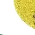 1PCS 2 Inch 50mm Emery Dry Polishing Pad Flexible Sanding Disc For Granite Marble Stone Ceramic Tile Grinding Wheel Accessories
1PCS 2 Inch 50mm Emery Dry Polishing Pad Flexible Sanding Disc For Granite Marble Stone Ceramic Tile Grinding Wheel Accessories