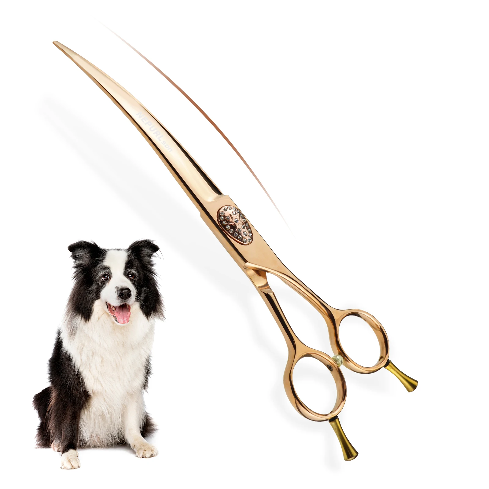 7.5 "dog pet grooming scissors Thinning scissors Cutting scissors Curved scissors
7.5 "dog pet grooming scissors Thinning scissors Cutting scissors Curved scissors