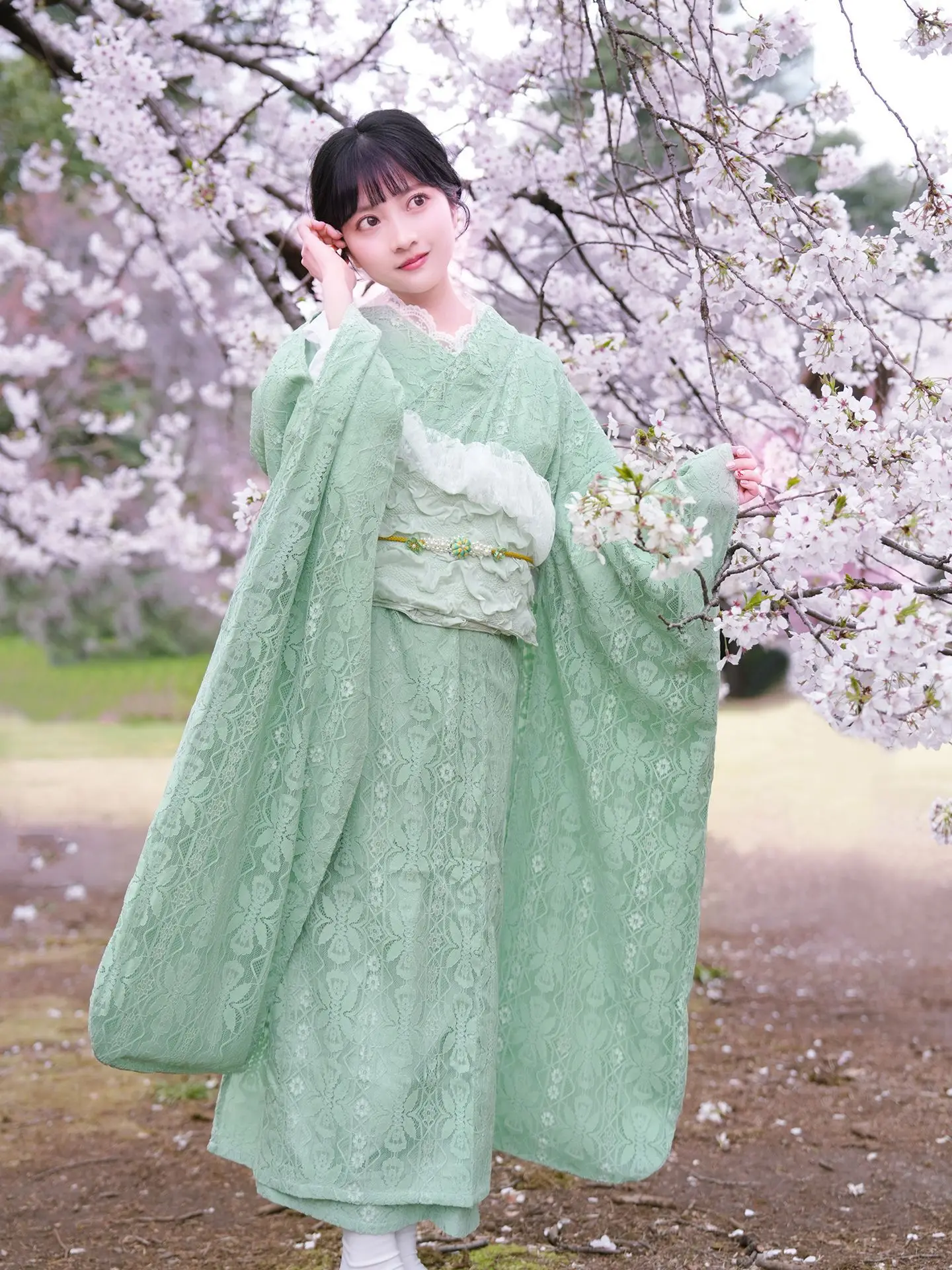 Green Women's Japanese Lace Kimono – Improved Furisode, Sweet Formal Graduation Dress, Traditional Japanese Outfit
Green Women's Japanese Lace Kimono – Improved Furisode, Sweet Formal Graduation Dress, Traditional Japanese Outfit