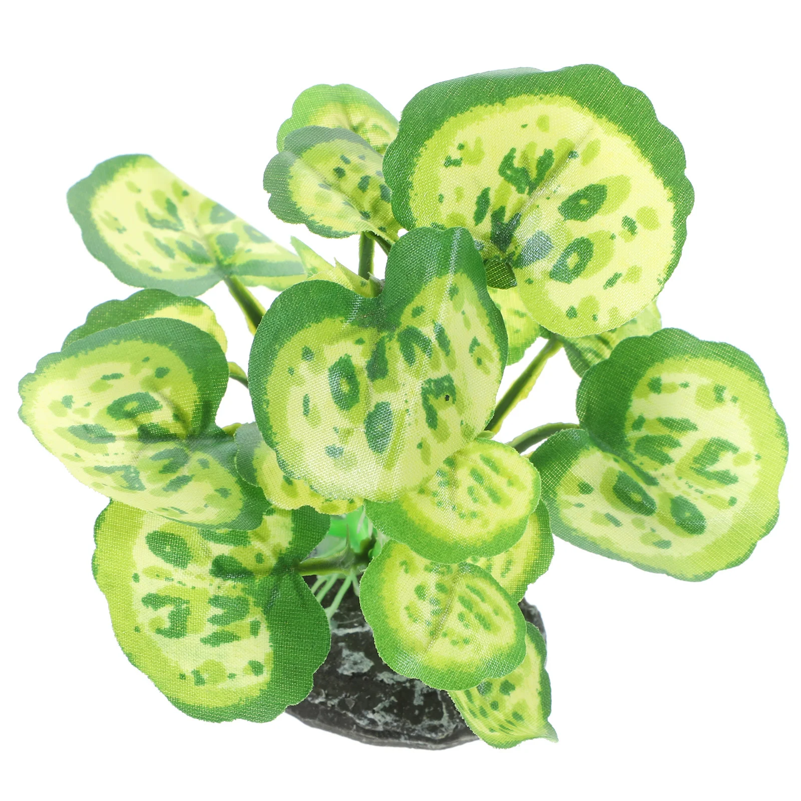 Premium Realistic Aquarium Plants Plastic Fish Tank Decoration For Fresh Salt Water Small Artificial Plant Ornament
Premium Realistic Aquarium Plants Plastic Fish Tank Decoration For Fresh Salt Water Small Artificial Plant Ornament