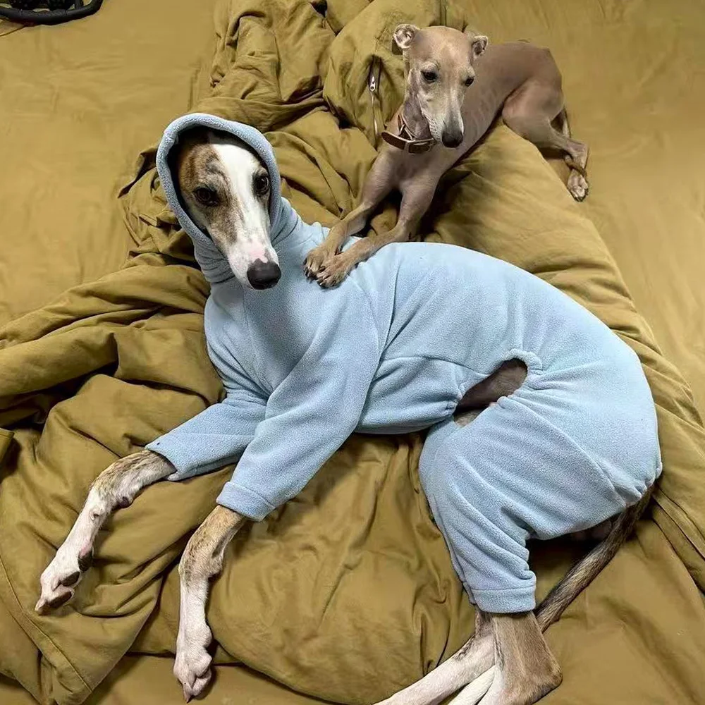 Winter Warm Blue Jacket for Italy Greyhound 4-legged Costume for Wellington Autumn Thick Warm Soft Sweatshirt for Whippet Dogs
Winter Warm Blue Jacket for Italy Greyhound 4-legged Costume for Wellington Autumn Thick Warm Soft Sweatshirt for Whippet Dogs