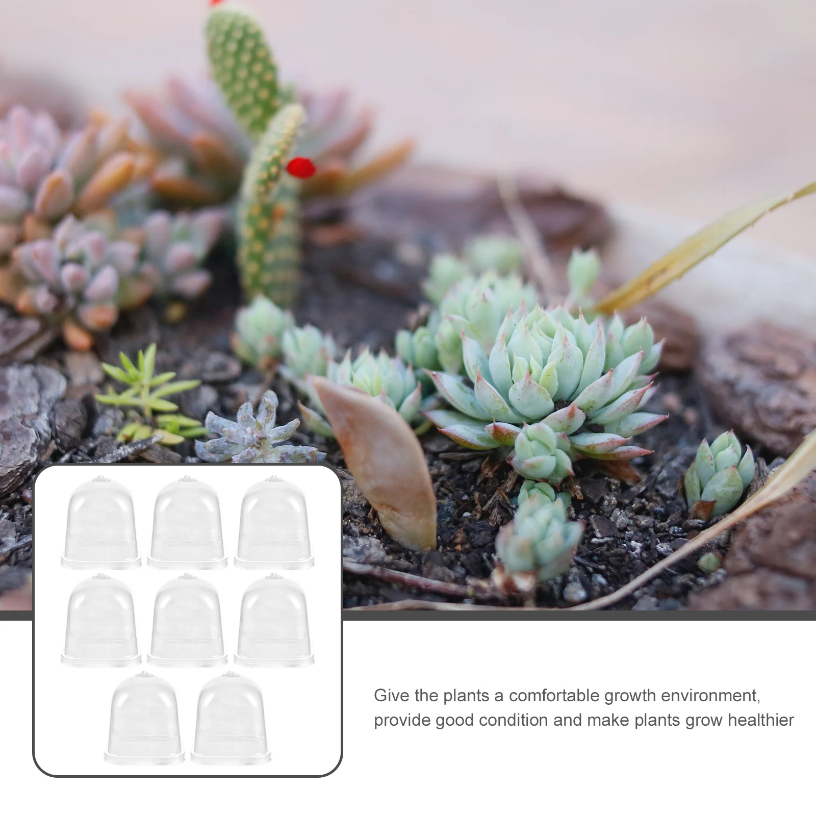 8pcs Plant Dome Covers Transparent For Seedling Freeze Resistant Greenhouse Humidity Dome Gardening Tool
8pcs Plant Dome Covers Transparent For Seedling Freeze Resistant Greenhouse Humidity Dome Gardening Tool