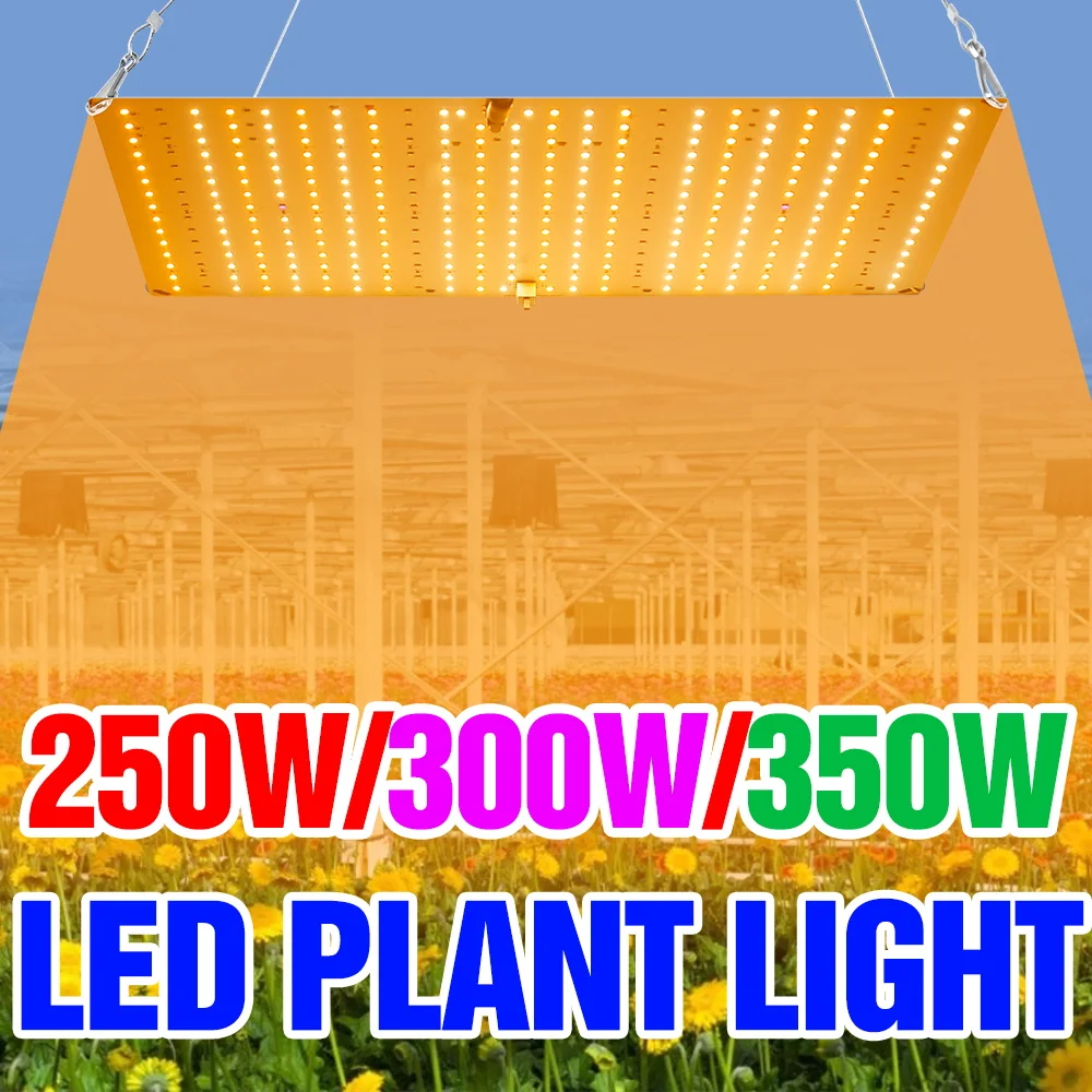 350W LED Full Spectrum Grow Light 100-277V Planting Panel Lamp Greenhouse Tent Succulent Cactus Flowers Fill Lighting EU/US Plug
350W LED Full Spectrum Grow Light 100-277V Planting Panel Lamp Greenhouse Tent Succulent Cactus Flowers Fill Lighting EU/US Plug