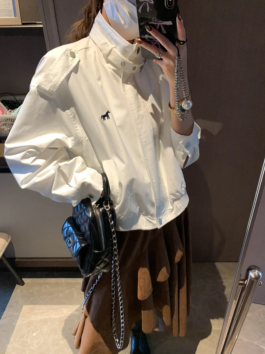 Spring women's casual solid color lace up stand up collar pony embroidery loose short jacket
Spring women's casual solid color lace up stand up collar pony embroidery loose short jacket