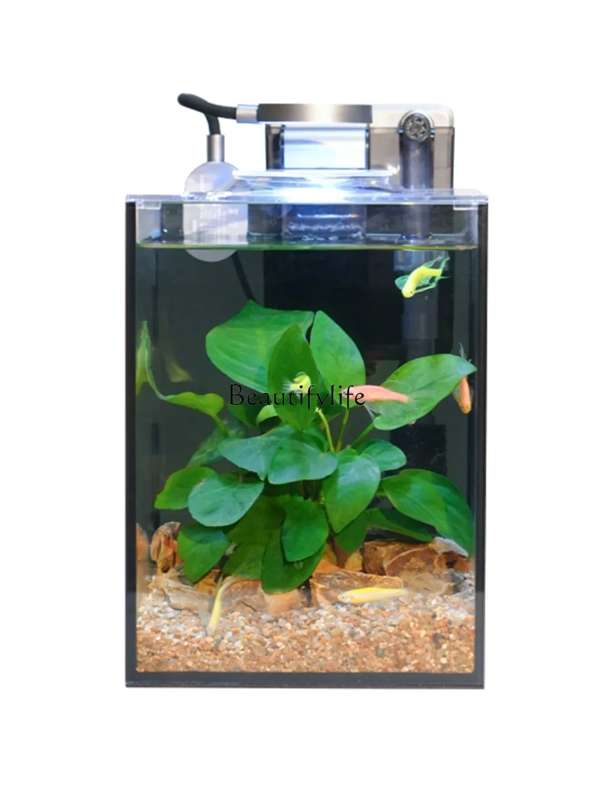 FG26Super White Glass Fish Tank Living Room Home Desktop Office Small Fish Tank
FG26Super White Glass Fish Tank Living Room Home Desktop Office Small Fish Tank
