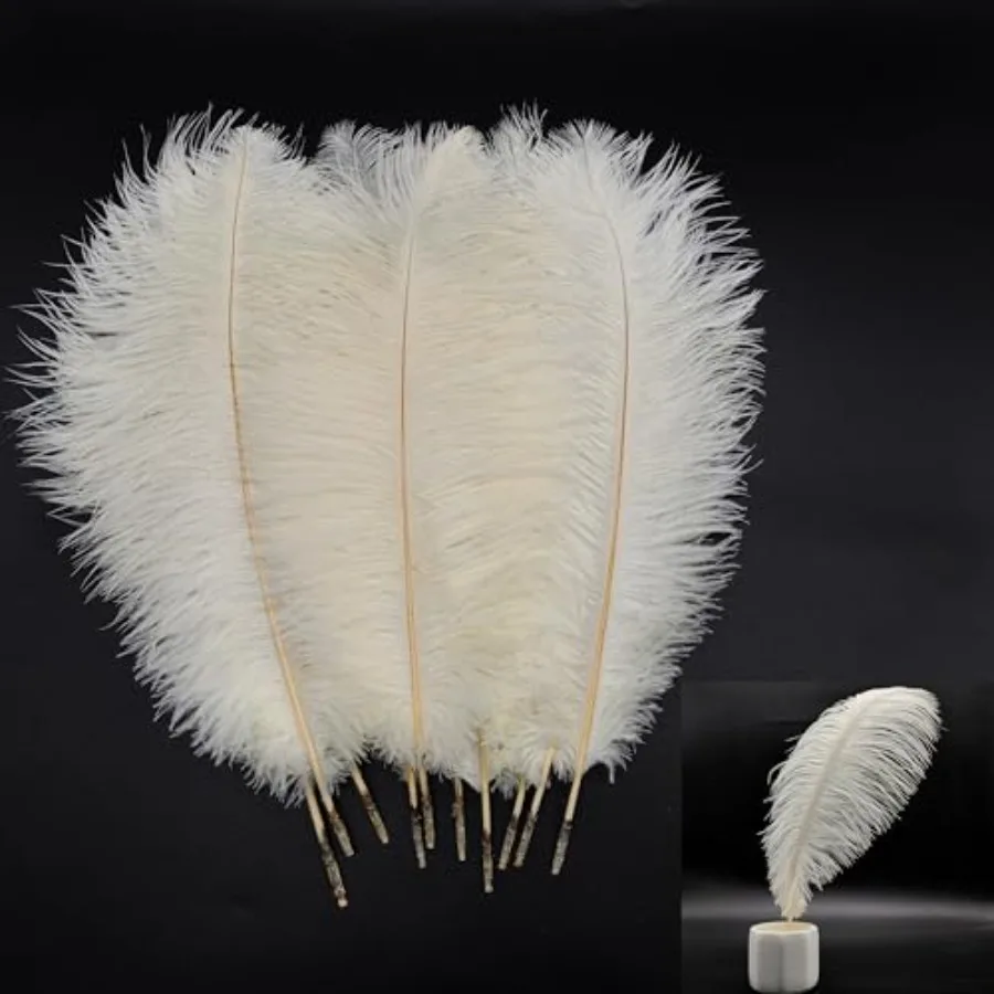 LONDGEN 10pcs Natural Ostrich Feathers Plumes 14-16inch 35-40cm for Craft Flower Arrangement Wedding Decoration and Halloween P
LONDGEN 10pcs Natural Ostrich Feathers Plumes 14-16inch 35-40cm for Craft Flower Arrangement Wedding Decoration and Halloween P