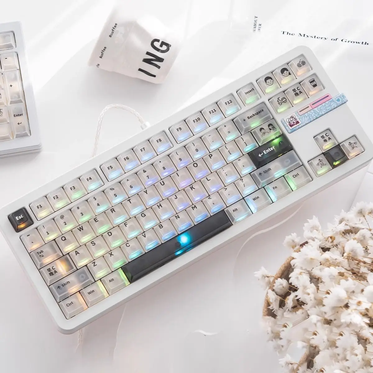 Morning C Night A Black/White Fog Transparent PC Keycaps Full Set Pad Printing Original Highly Suitable Mechanical Keyboard
Morning C Night A Black/White Fog Transparent PC Keycaps Full Set Pad Printing Original Highly Suitable Mechanical Keyboard