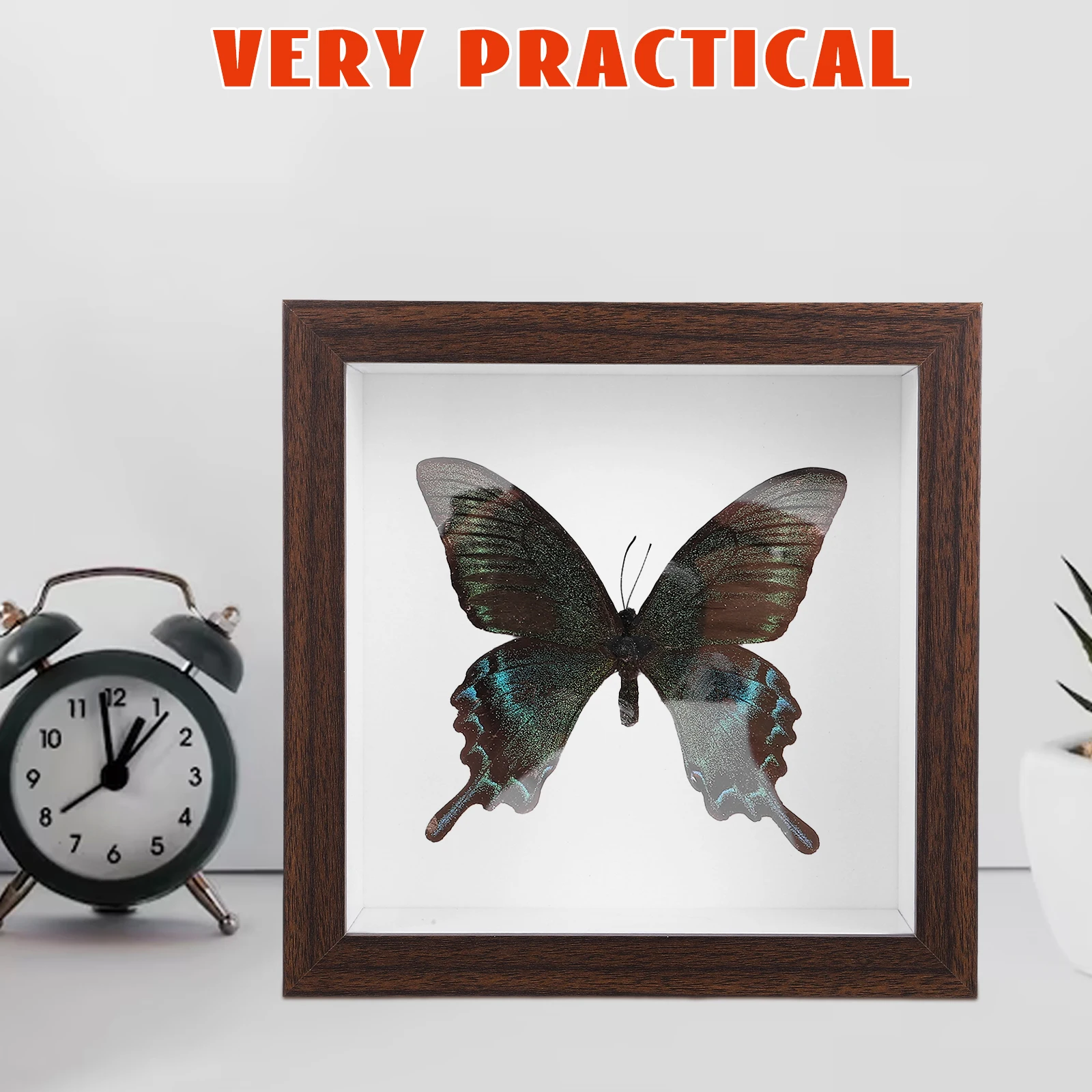 Specimen Decorative Photo Dried Flower Frame Strong Beautiful Appearance Bedroom Living Room Display Tool Protective Box
Specimen Decorative Photo Dried Flower Frame Strong Beautiful Appearance Bedroom Living Room Display Tool Protective Box