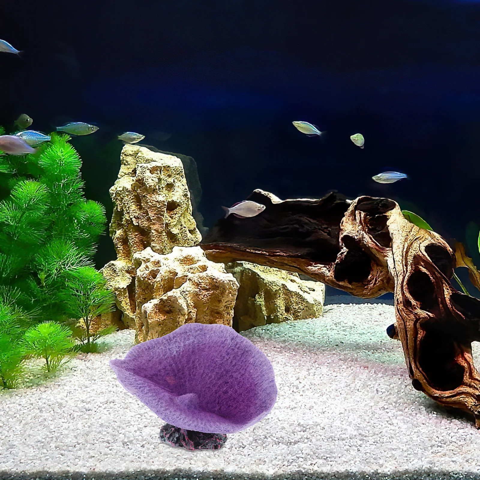 Realistic Coral Decor for Fish Tank Natural Look Artificial Reef Ornament Safe Aquatic Environment Non-Toxic Coral for Aquarium
Realistic Coral Decor for Fish Tank Natural Look Artificial Reef Ornament Safe Aquatic Environment Non-Toxic Coral for Aquarium