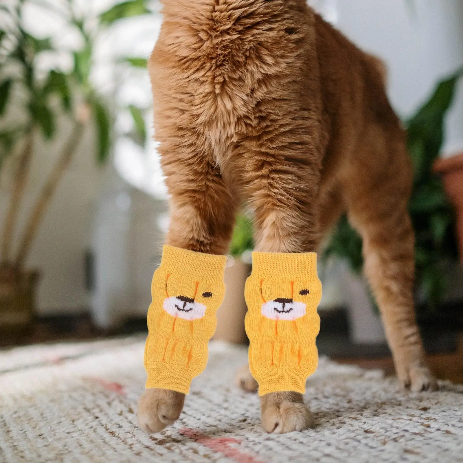 4 Pcs Pet Socks Dog Leg Warmers Cartoon Cotton Small Dogs Anti slip Puppy Leg Protector Stylish Durability Pet Supplies
4 Pcs Pet Socks Dog Leg Warmers Cartoon Cotton Small Dogs Anti slip Puppy Leg Protector Stylish Durability Pet Supplies