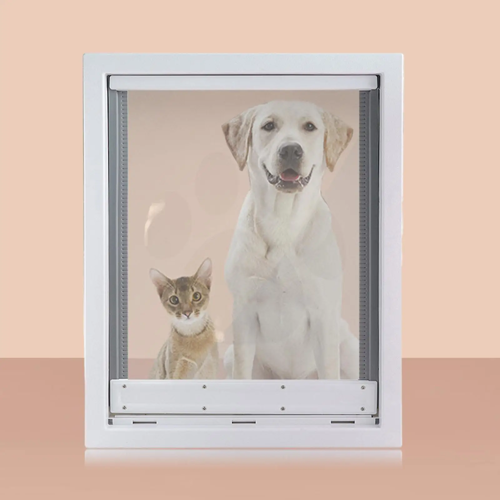 ABS Plastic Large Cat Door Weatherproof Locking Flap Tunnel Animal Corridor Pet Gate for Door and Window Installation
ABS Plastic Large Cat Door Weatherproof Locking Flap Tunnel Animal Corridor Pet Gate for Door and Window Installation