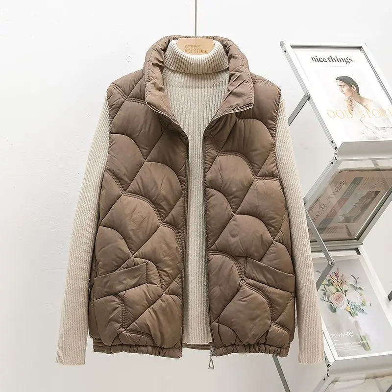 Down Cotton Appear Sleeveless Women's Autumn/Winter Vest Coat Stand-up Collar Fashion Warm Ladies Tank Top Jacket 2024 B579
Down Cotton Appear Sleeveless Women's Autumn/Winter Vest Coat Stand-up Collar Fashion Warm Ladies Tank Top Jacket 2024 B579