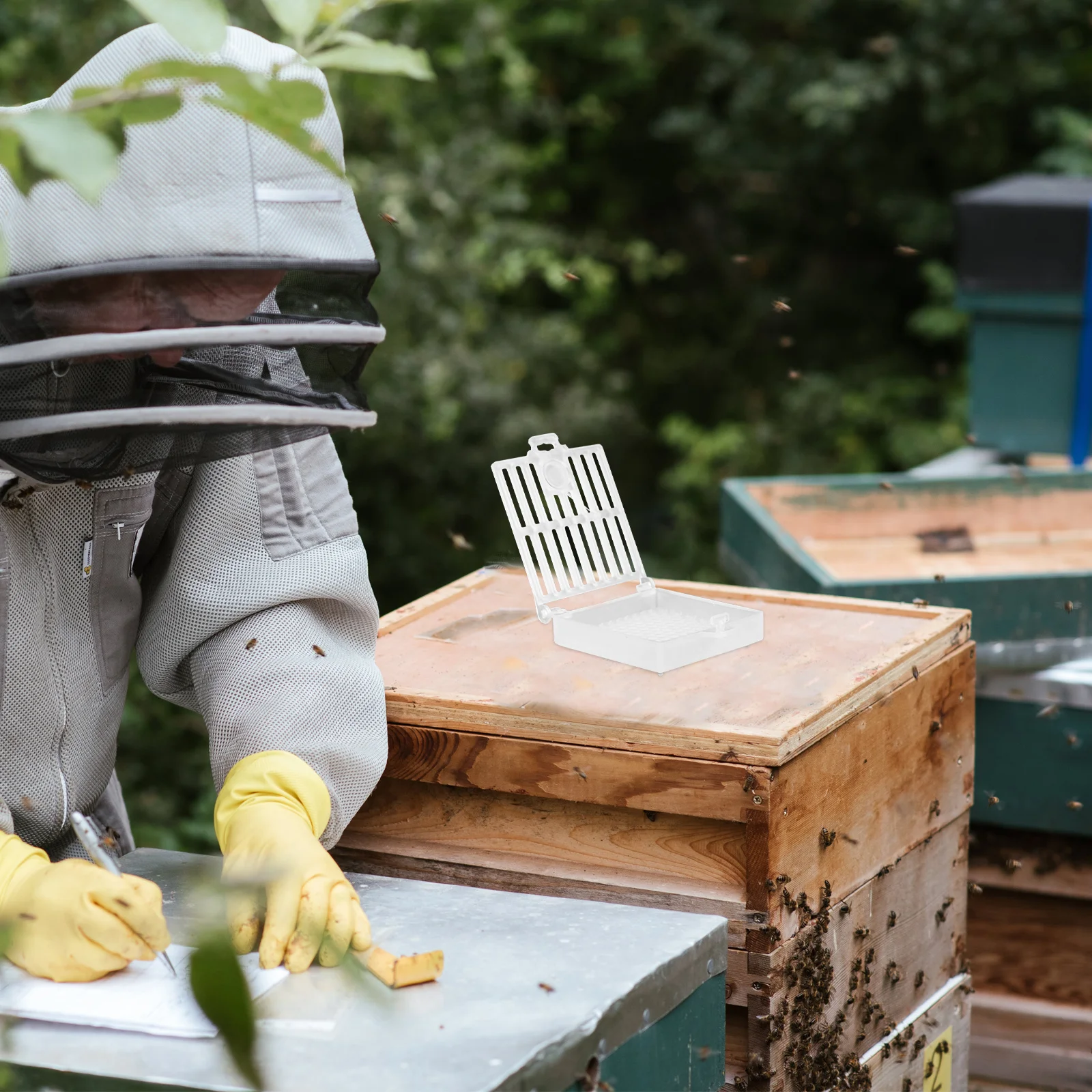 Bee Rearing Cage Durable Easy Clean Plastic Material No Harm Beekeeping Tools Lightweight Portable Bee Breeding Cage
Bee Rearing Cage Durable Easy Clean Plastic Material No Harm Beekeeping Tools Lightweight Portable Bee Breeding Cage