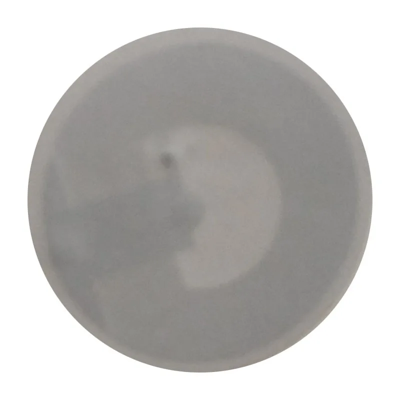 28Mm Blank NFC Tag Settlement Chip RFID Printable PET Antenna Smart Core Disk
28Mm Blank NFC Tag Settlement Chip RFID Printable PET Antenna Smart Core Disk