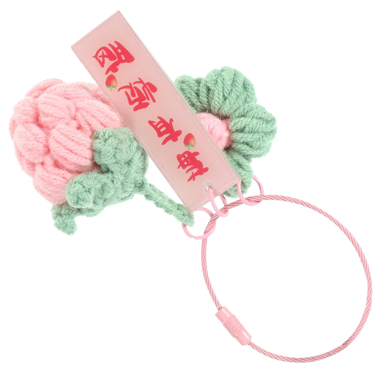 Adorable Strawberry Shaped Crocheting Keychain Pendant for Backpacks Bags Phones Home Office Decor Hanging Keychain Charm Fruits
Adorable Strawberry Shaped Crocheting Keychain Pendant for Backpacks Bags Phones Home Office Decor Hanging Keychain Charm Fruits