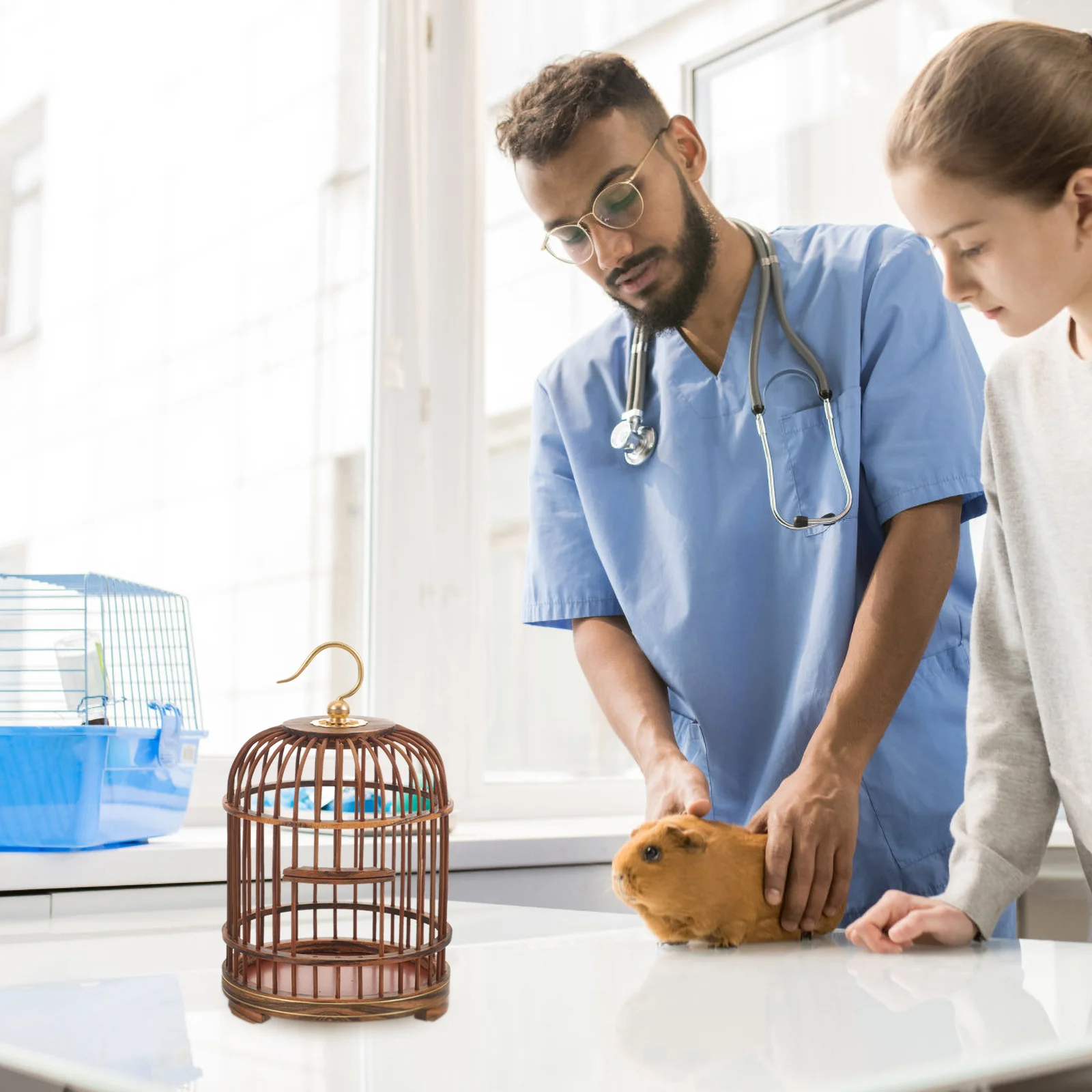 Bird Cage Hanging Bird Cage Cage Ornament Hanging Bird Cage Hanging Cage for Small Animals birdcage wood cage
Bird Cage Hanging Bird Cage Cage Ornament Hanging Bird Cage Hanging Cage for Small Animals birdcage wood cage