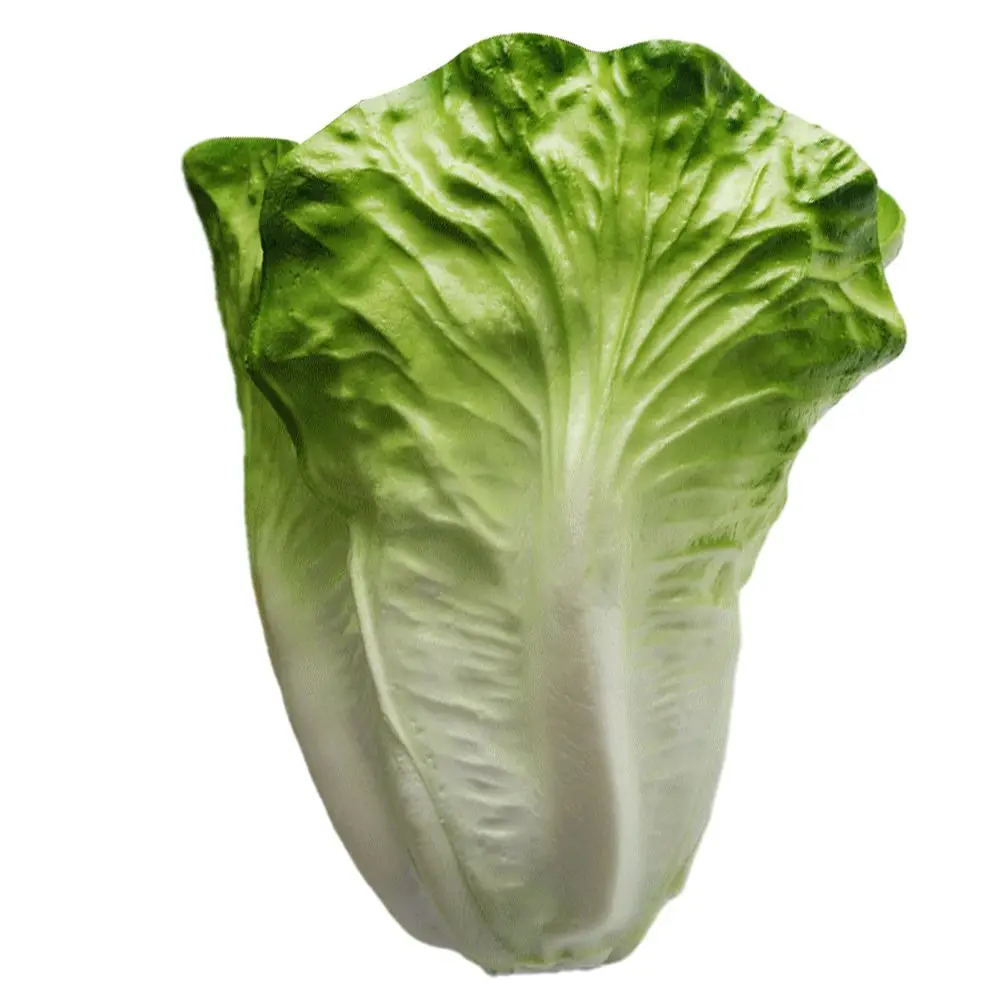 Artificial Lettuce Fake Vegetables Decor Lifelike Simulation Props Vegetable Decorations Showcase Models PU Non Fading Realistic
Artificial Lettuce Fake Vegetables Decor Lifelike Simulation Props Vegetable Decorations Showcase Models PU Non Fading Realistic