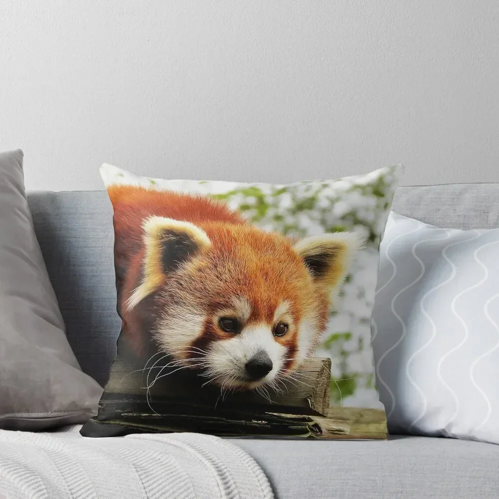 Red Panda Throw Pillow Throw Pillow Custom Cushion Pillowcases For Pillows luxury sofa pillows pillow
Red Panda Throw Pillow Throw Pillow Custom Cushion Pillowcases For Pillows luxury sofa pillows pillow