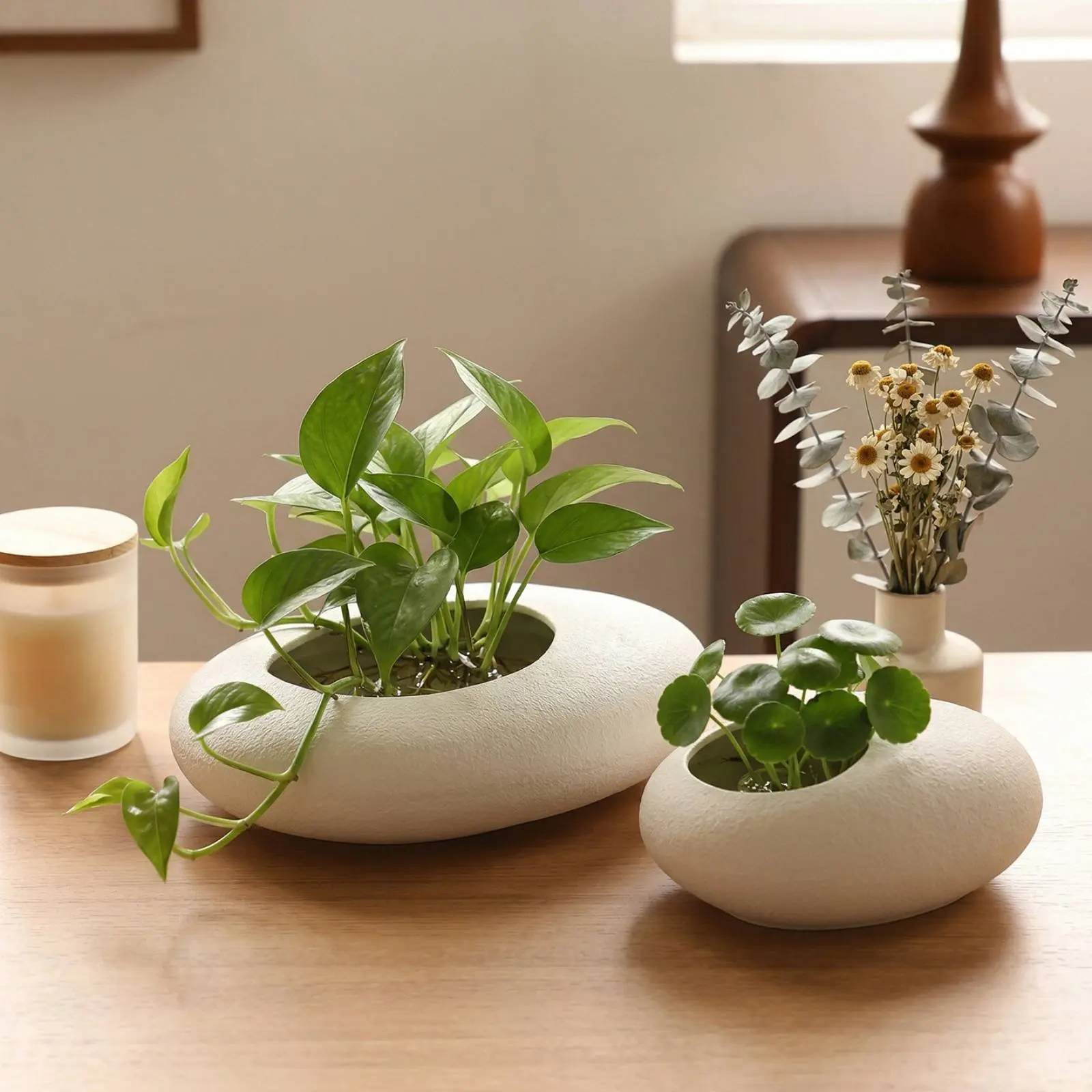 Hydroponic Vase Compact Size Oval-Shaped Vase Irregular Ceramic Planter Space Saving Eggshell Ceramic Bowl Whimsical Design
Hydroponic Vase Compact Size Oval-Shaped Vase Irregular Ceramic Planter Space Saving Eggshell Ceramic Bowl Whimsical Design