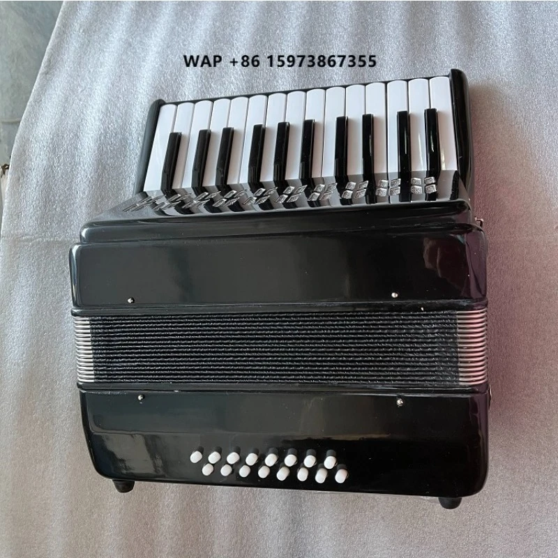 China Musical Instrument Accordion 16 Bass 25 Key
China Musical Instrument Accordion 16 Bass 25 Key