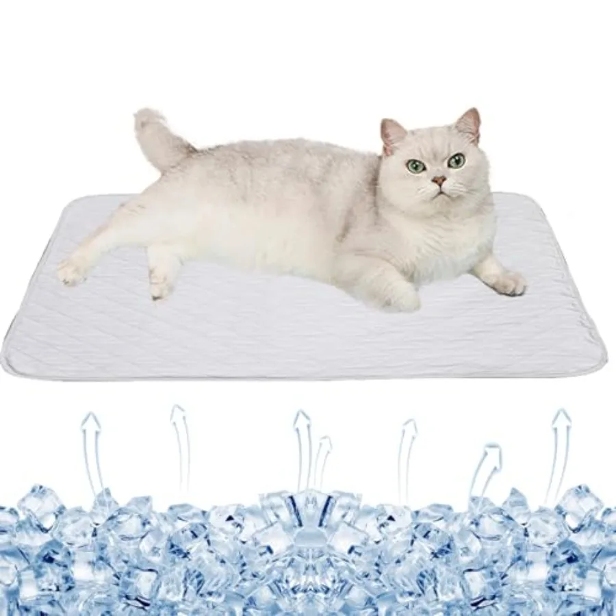 Dog Ice Pad Ice Silk Cats Kennel Mat Pet Cooling Pad Summer Cool Bamboo Mat Breathable Pad,S
Dog Ice Pad Ice Silk Cats Kennel Mat Pet Cooling Pad Summer Cool Bamboo Mat Breathable Pad,S