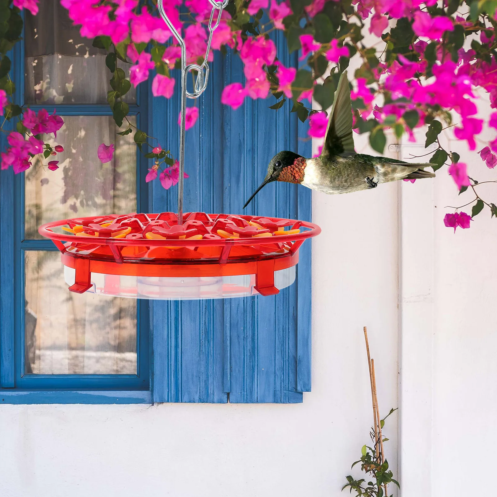 Hanging Outdoor Transparent Plastic Durable Wild Bird Feeding Tool Parrot Feeder Garden Decoration Easy Clean Bird Food
Hanging Outdoor Transparent Plastic Durable Wild Bird Feeding Tool Parrot Feeder Garden Decoration Easy Clean Bird Food