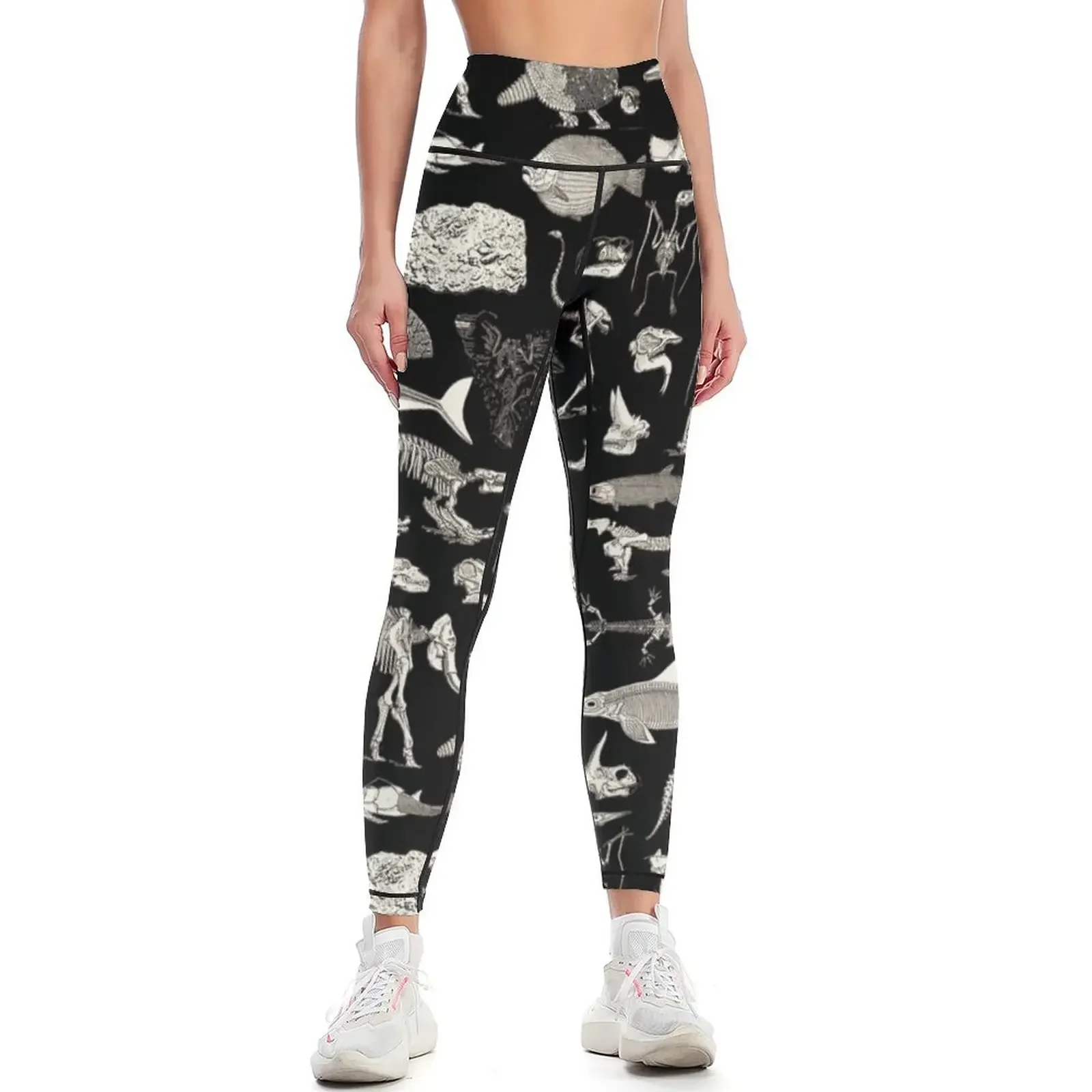 Paleontology Illustration Leggings high waist sports woman gym jogging pants sports for push up Womens Leggings
Paleontology Illustration Leggings high waist sports woman gym jogging pants sports for push up Womens Leggings
