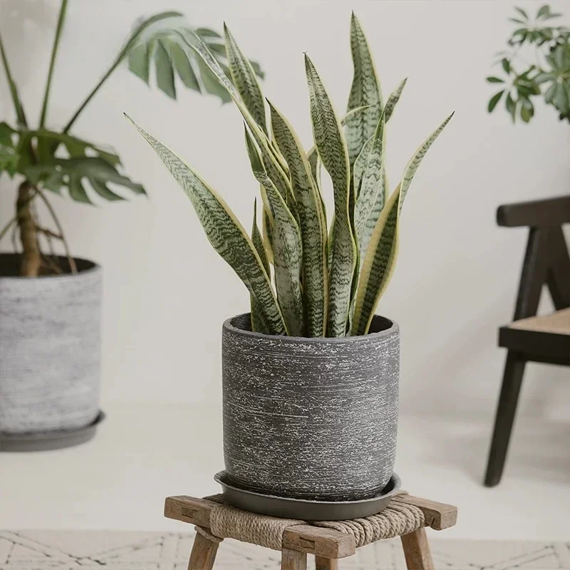 CL Simple Creative Cement Planter Grey Large Diameter Floor Monstera Large Plant Green Plant Large Flower Pot
CL Simple Creative Cement Planter Grey Large Diameter Floor Monstera Large Plant Green Plant Large Flower Pot