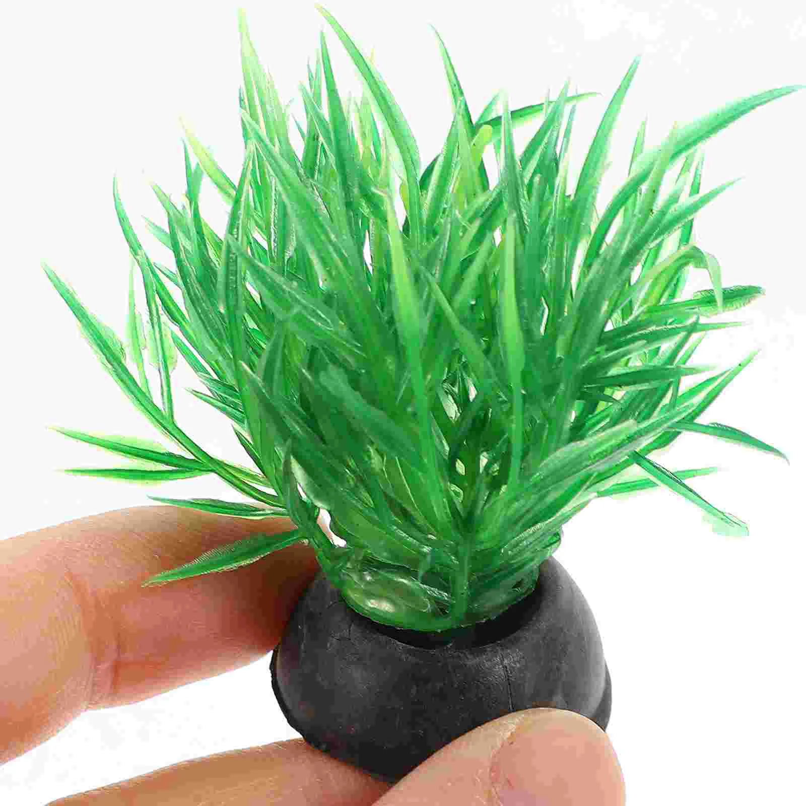 20 Pcs Aquarium Landscaping Fish Tank Decorations Betta Tall Faux Plant Plastic Large
20 Pcs Aquarium Landscaping Fish Tank Decorations Betta Tall Faux Plant Plastic Large